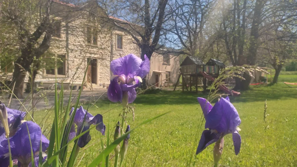 L'Ecole Buissonnière photo 2