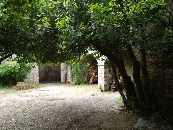 Chez Marcel photo 4