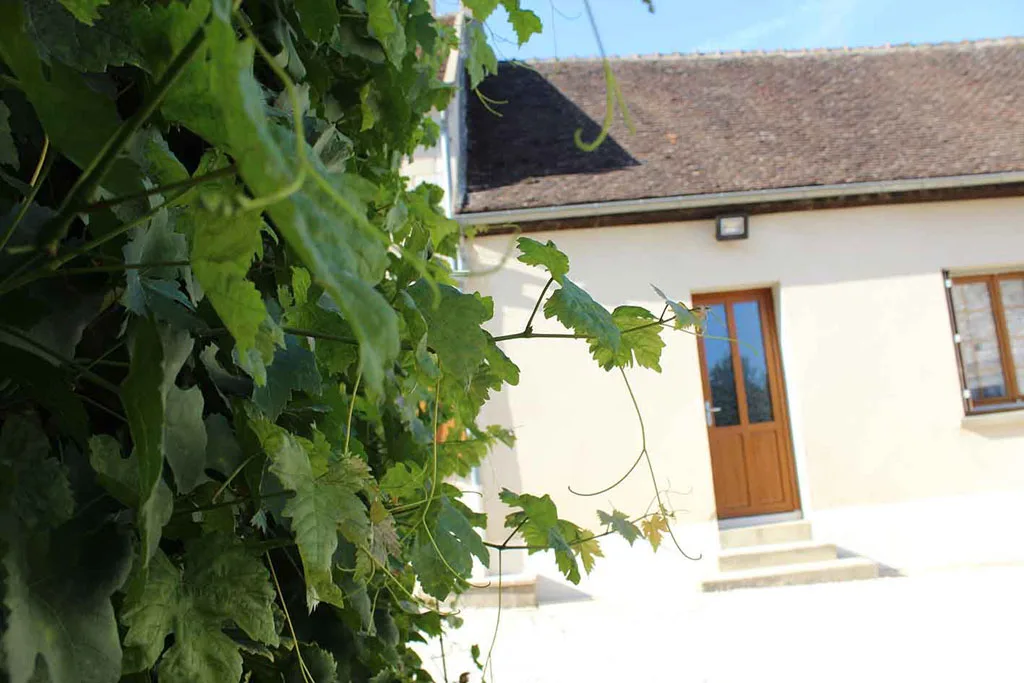 Rêve Chablisien photo 3