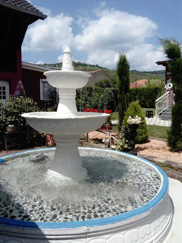 Domaine du Vieux Moulin photo 5