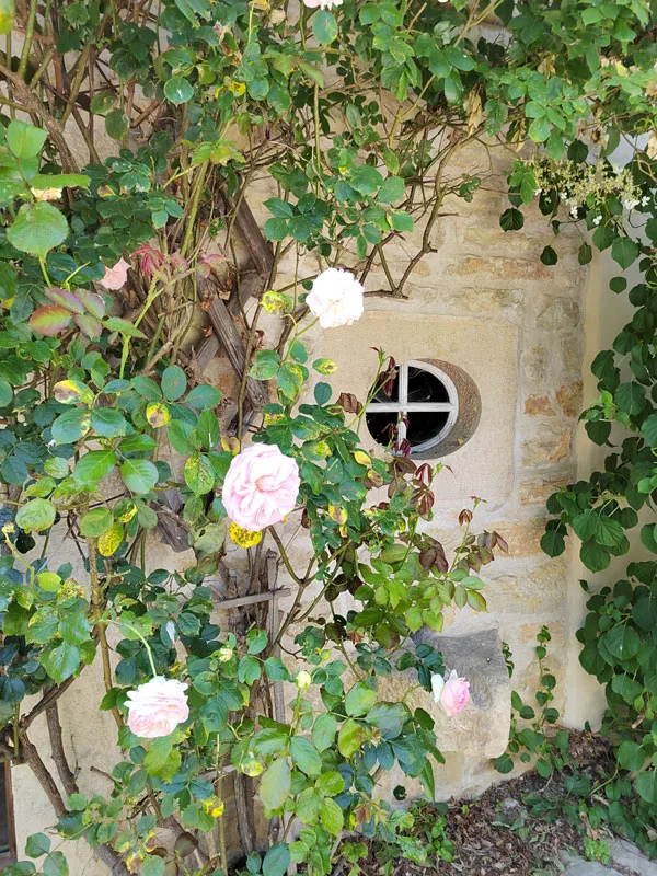 Le Moulin de Lucrèce - La Chant'Sonnette photo 5