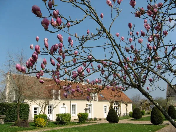 Manoir de La Voûte photo 2