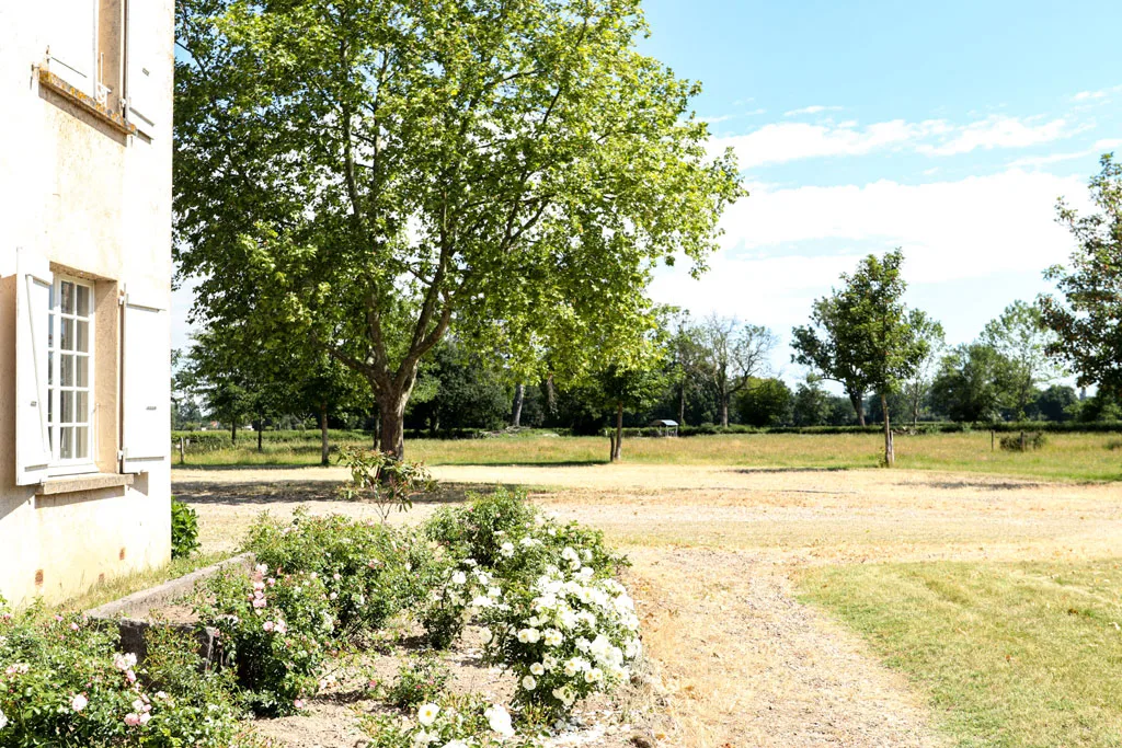 La Terre des Pierres photo 5