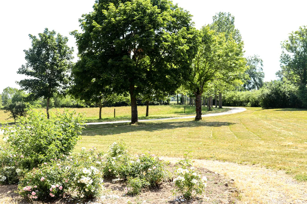 La Terre des Pierres photo 6