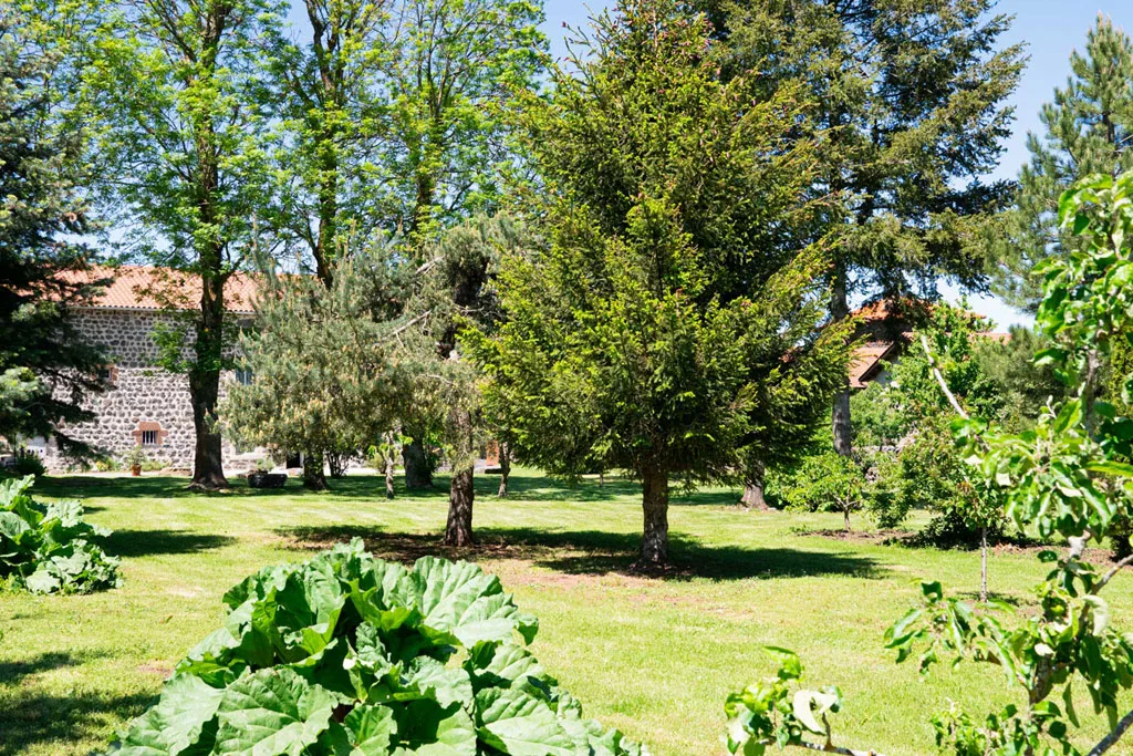 Gite Le clos des Meunier photo 5