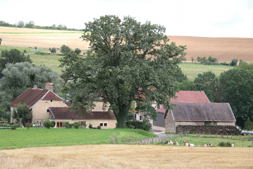 Le Gite de la Tourelle photo 2