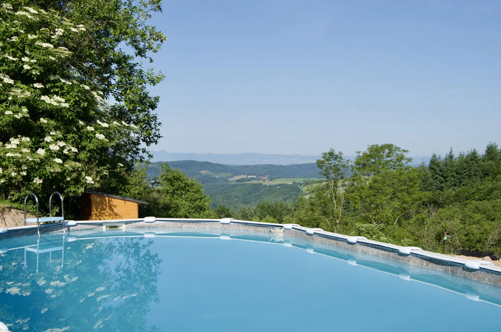 Location de house with pool à Ferrières-sur-Sichon — photo 2