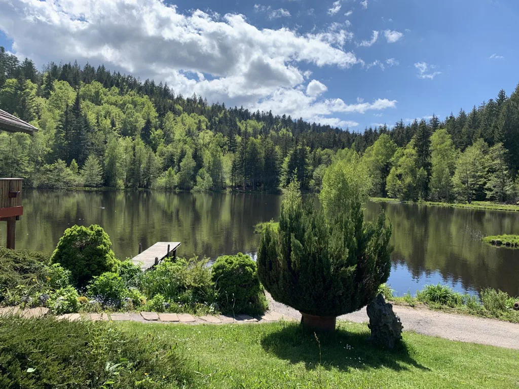 Location de casa rural à Rupt sur Moselle — photo 2