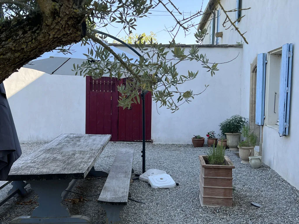 La chouette bleue photo 4