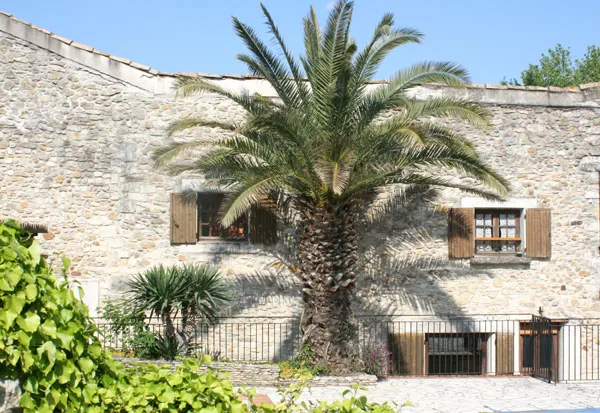 La Maison de Yana photo 2