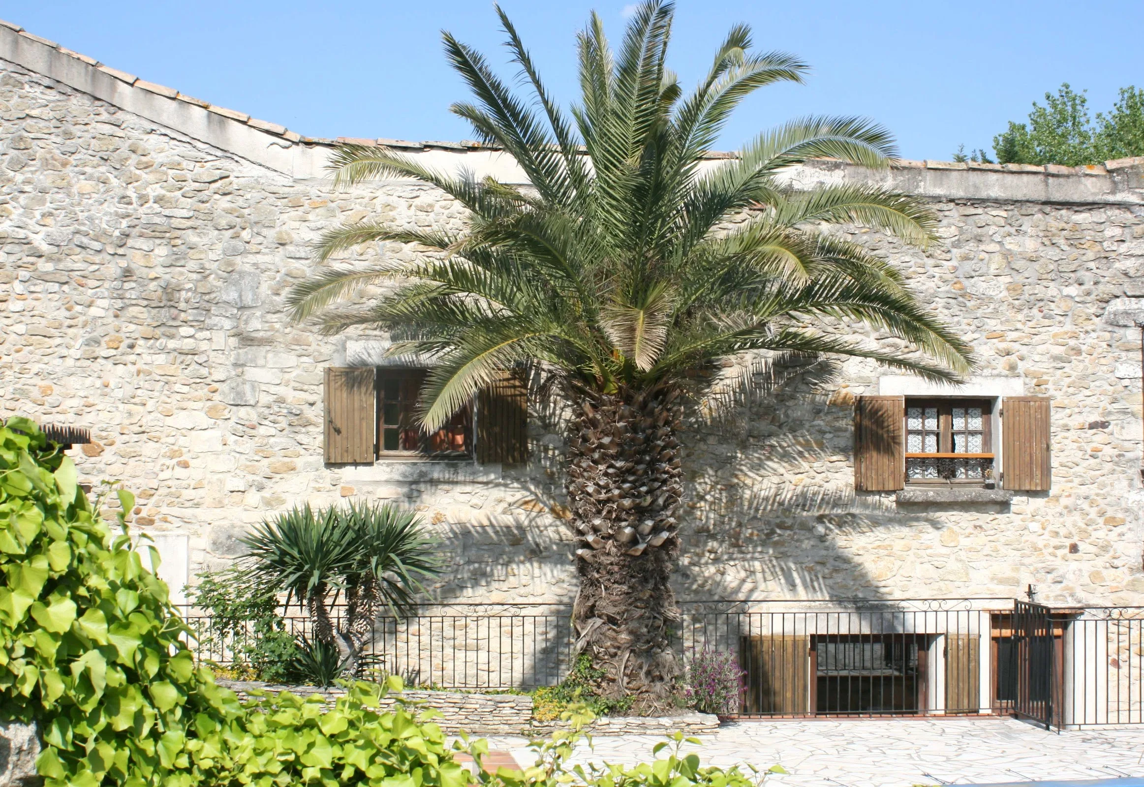 La Maison de Yana photo 6