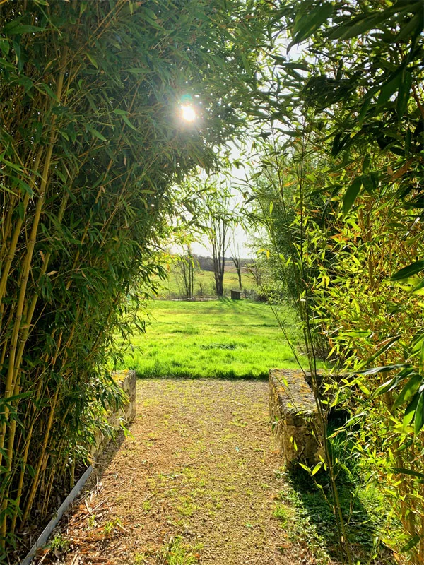 Les Grands Gites de Dame Bertrande photo 3