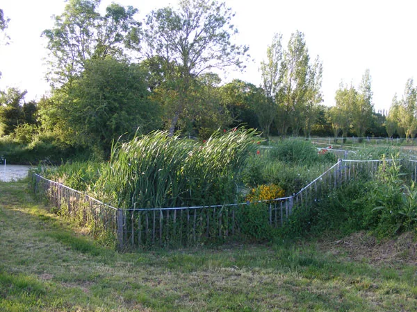 Gîte Equestre de Bourg Paillé photo 5