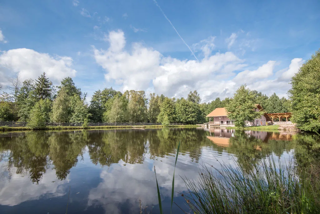 Propriété du Moulin de Corcieux photo 6