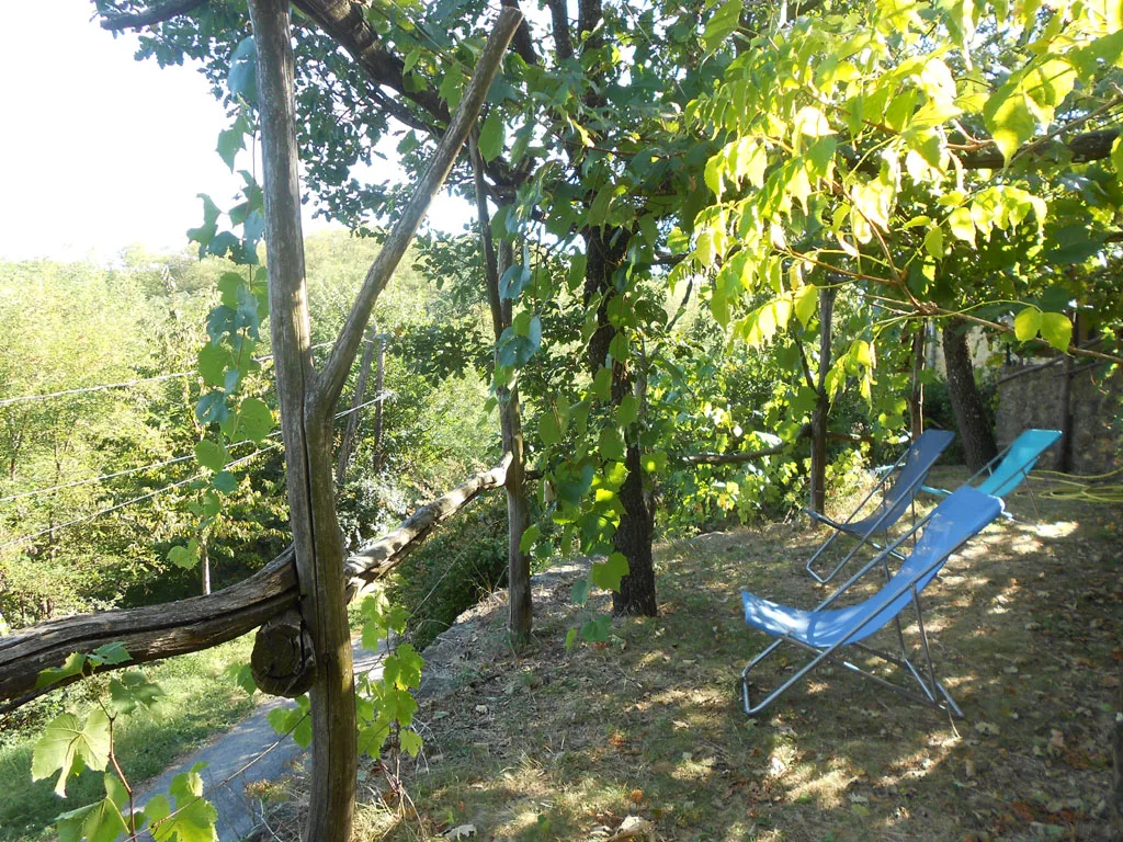 Mas de Bourlenc photo 5
