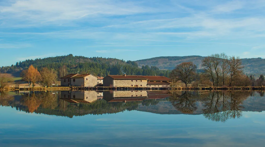 Le Domaine de la Plagnette photo 4