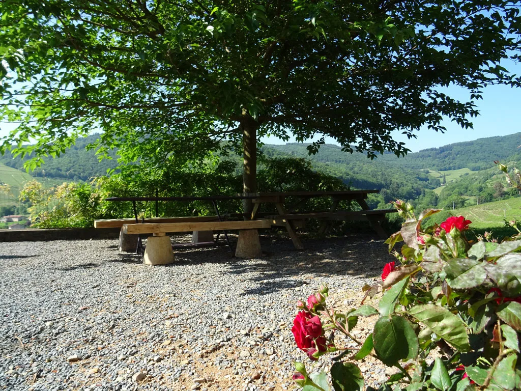 Location de gîte à Beaujeu — photo 2