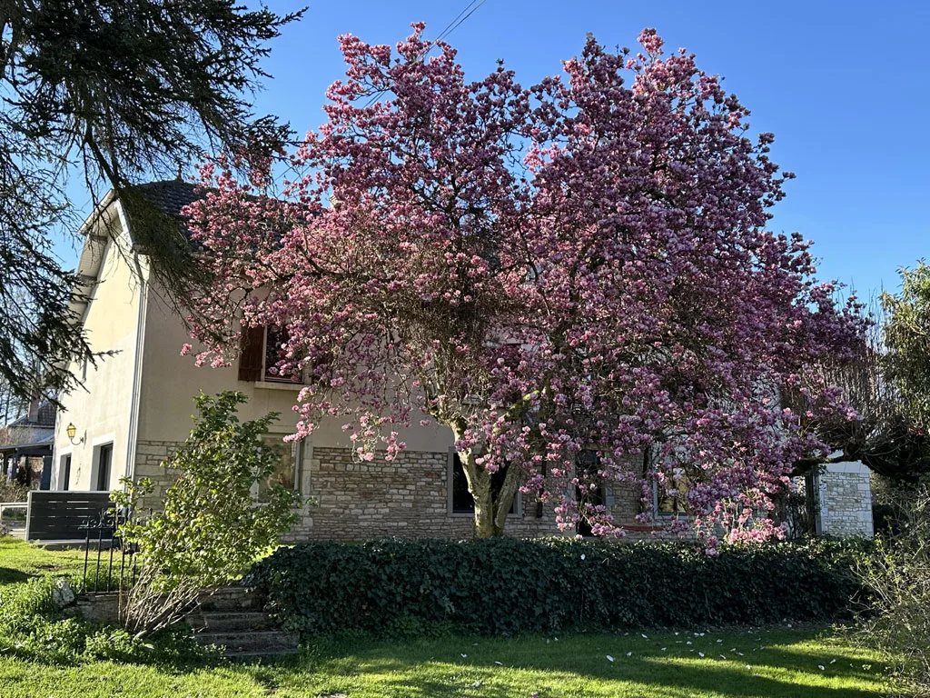 Gîte la Corne Aux Vaches photo 3