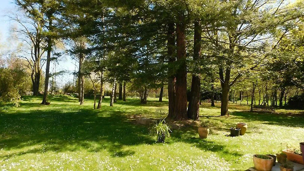 Location de casale à Concriers — photo 2
