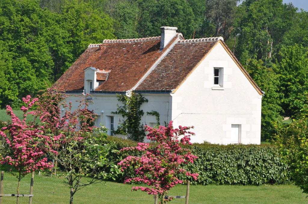 Domaine des Minières photo 5
