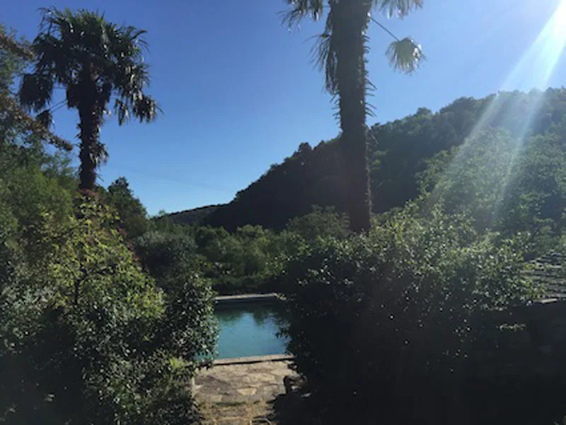 Location de casa con piscina à Saint-Vincent-d'Olargues — photo 3