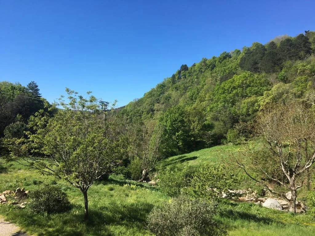 Le Jardin del Sud photo 4