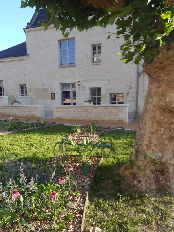 Le Pas des Vignes photo 3