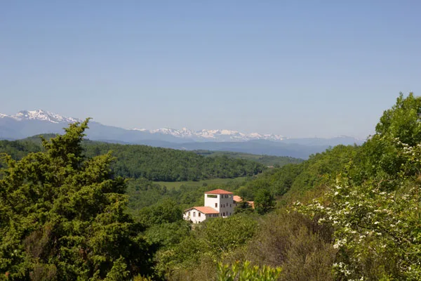 Domaine La Flotte photo 2