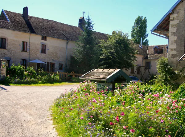 Gites de la ferme bio de They photo 2