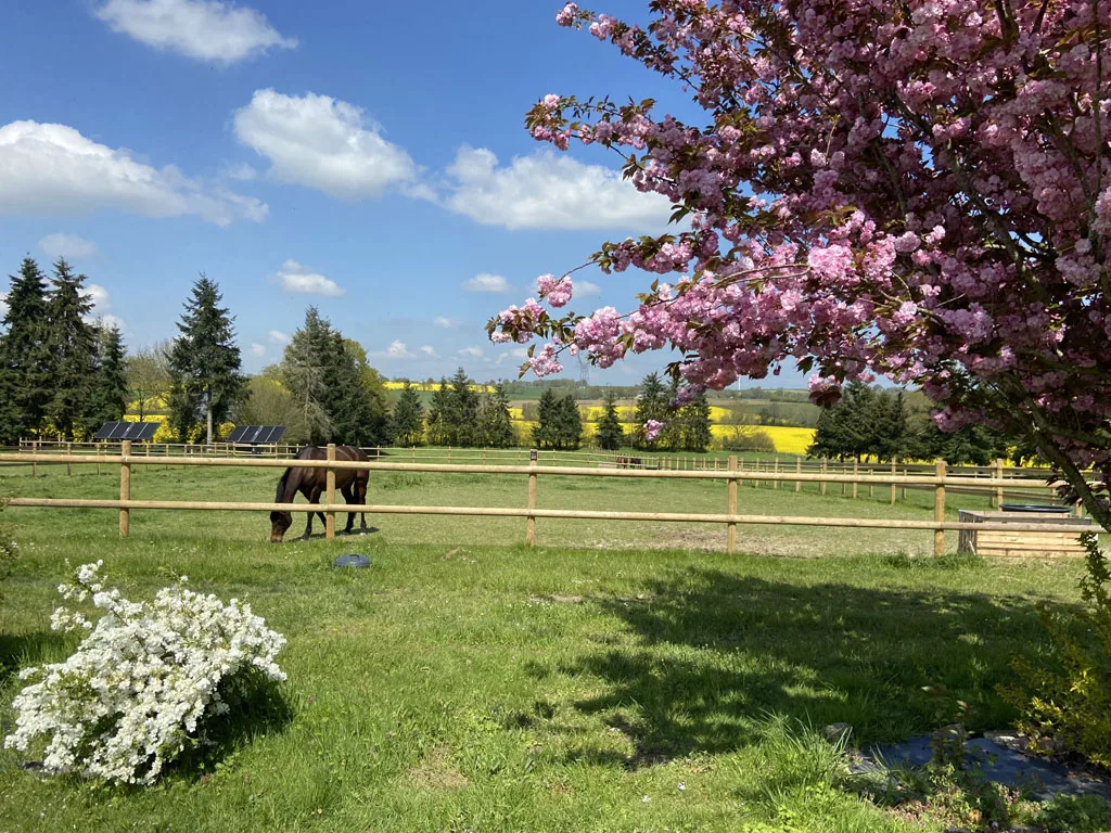 Le Domaine de La Béguinais photo 4