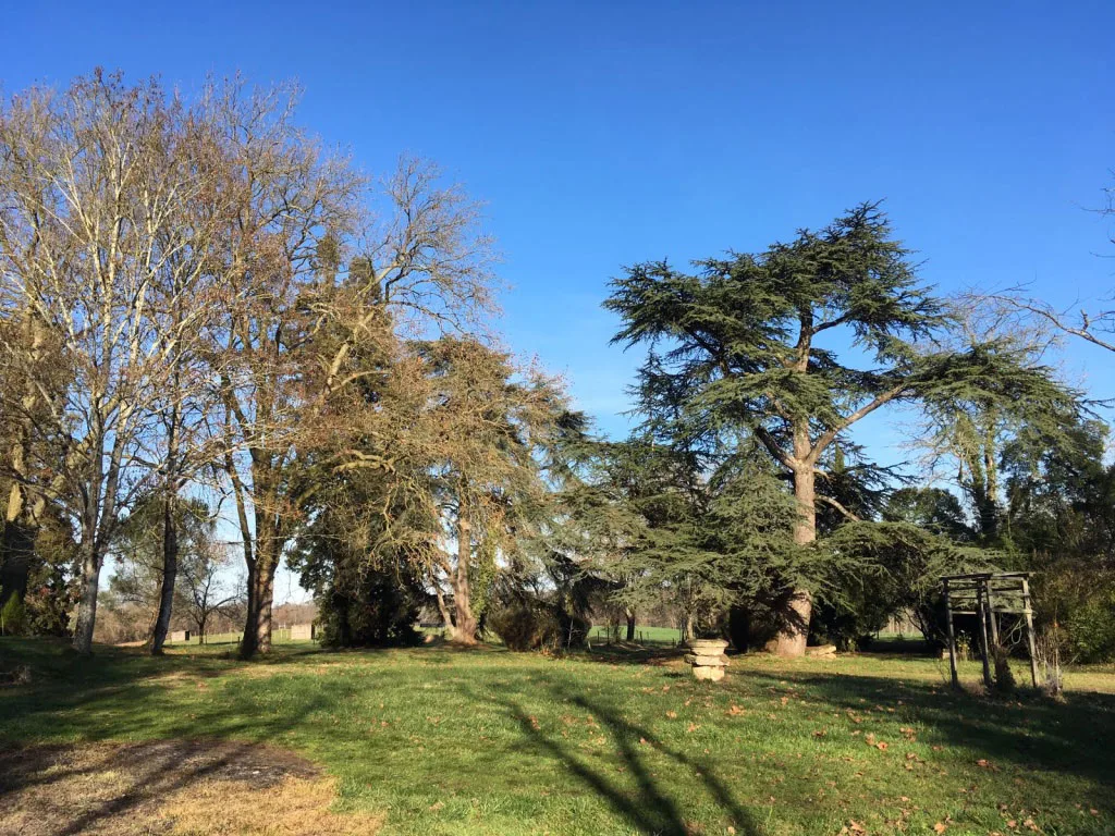 Domaine de Benquet photo 4