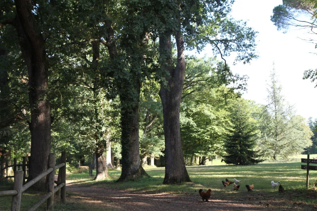 Domaine de Benquet photo 5