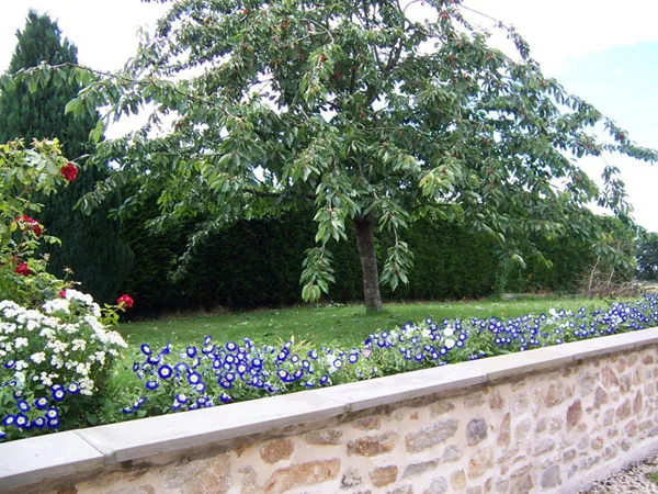 Gite de l'Aulne photo 4