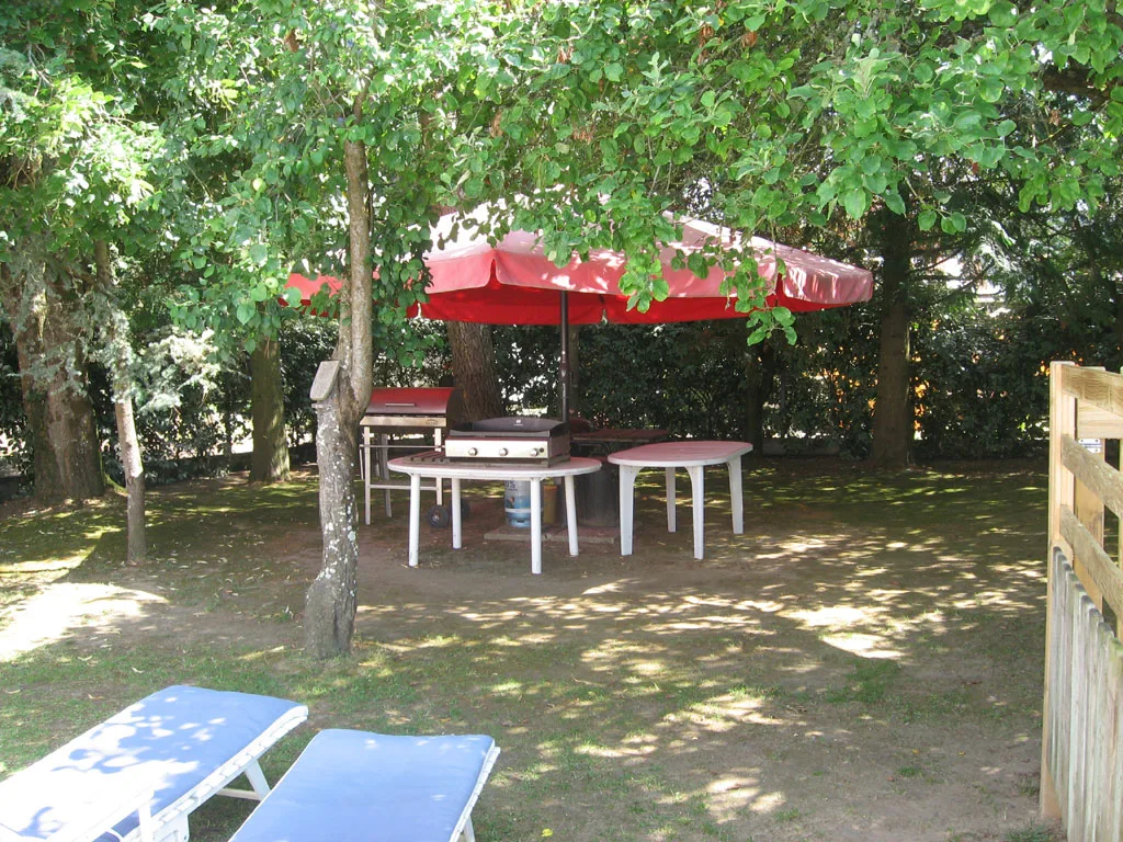 Aux Dunes de L'Abbaye photo 5