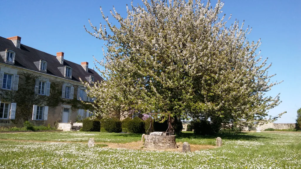 Manoir de Vilaines photo 3