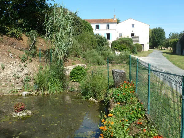 Les Gîtes de la Borie photo 3