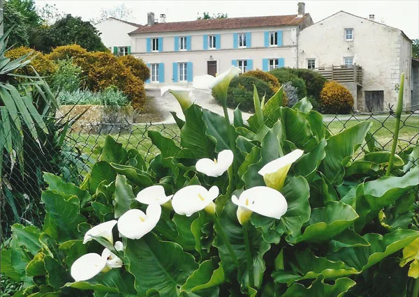 Les Gîtes de la Borie photo 4