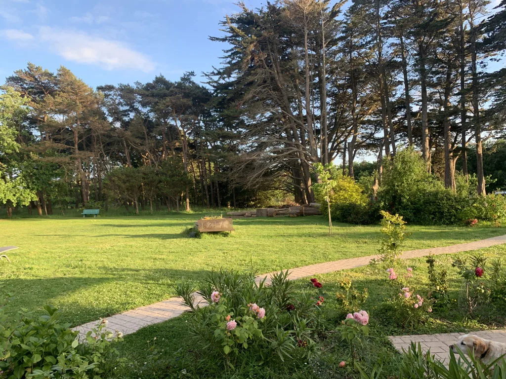 Le Relais du Cap Fréhel photo 2