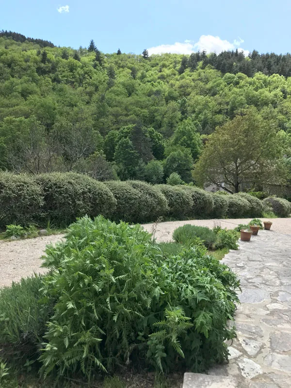 Domaine de Mournet photo 3