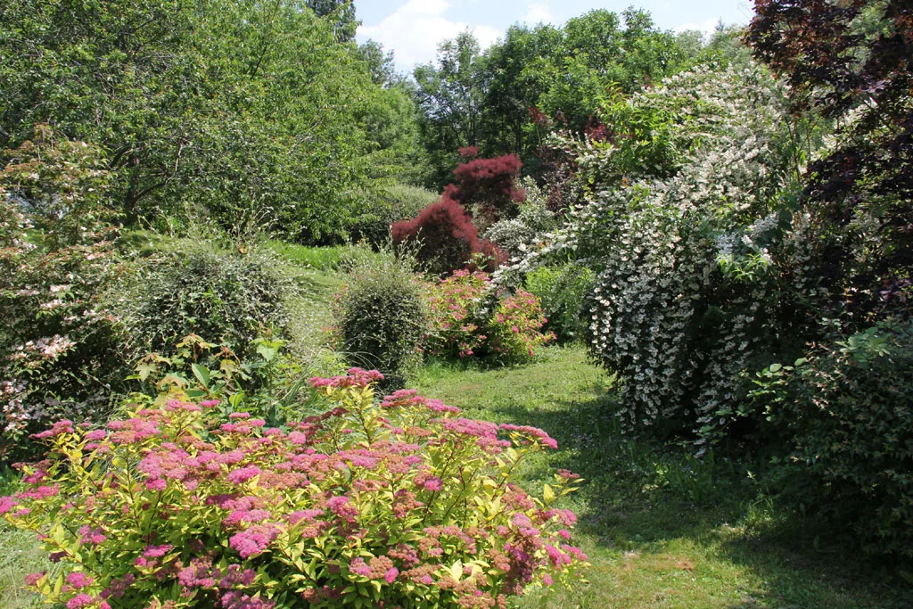 Domaine de Mournet photo 6