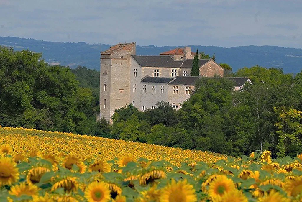 Château de Livers