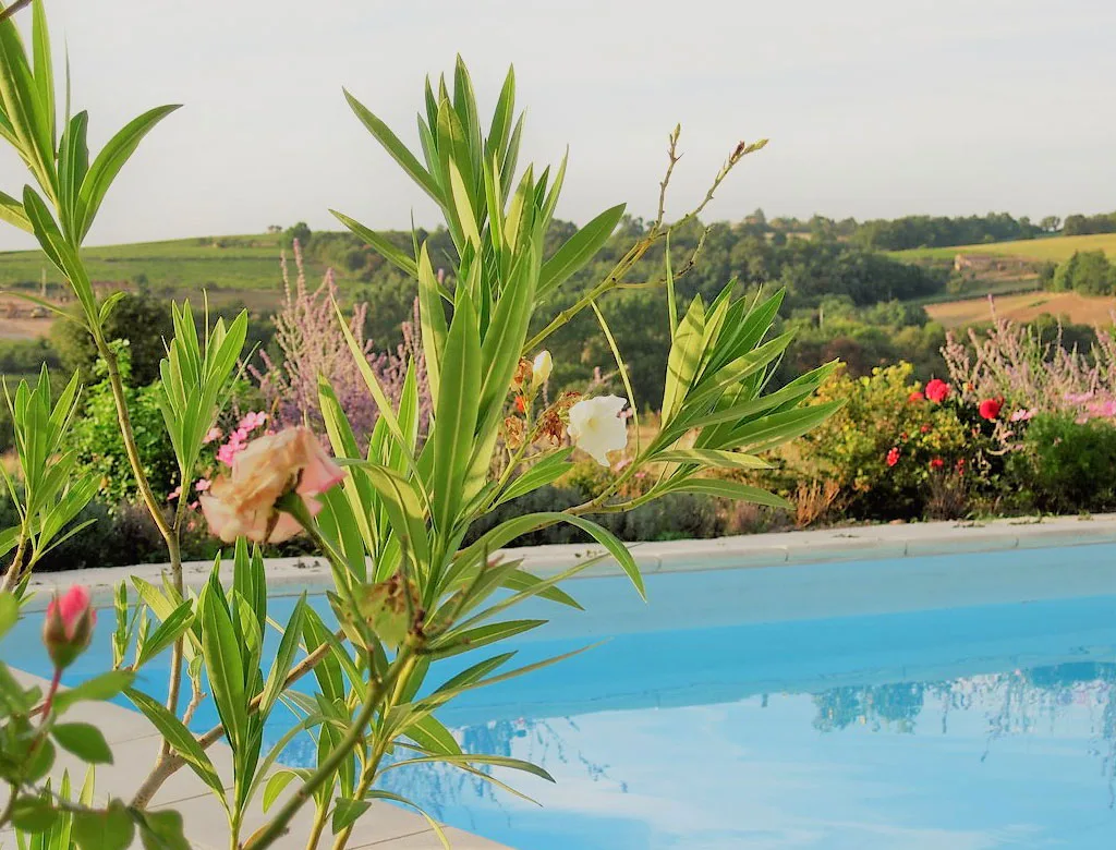 Domaine du Chêne Patouillard photo 2