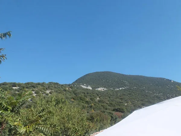 Mas La Provence photo 4