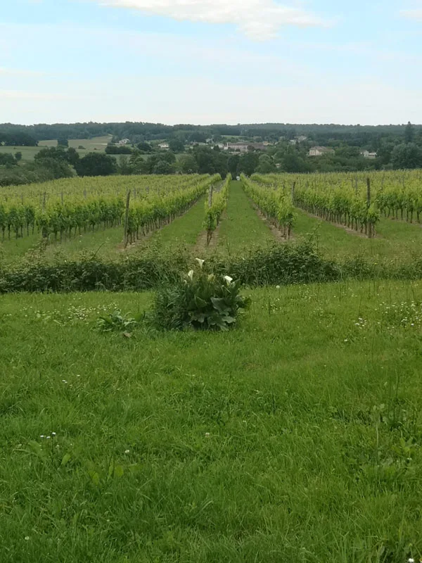Les Gites d'Antan photo 3