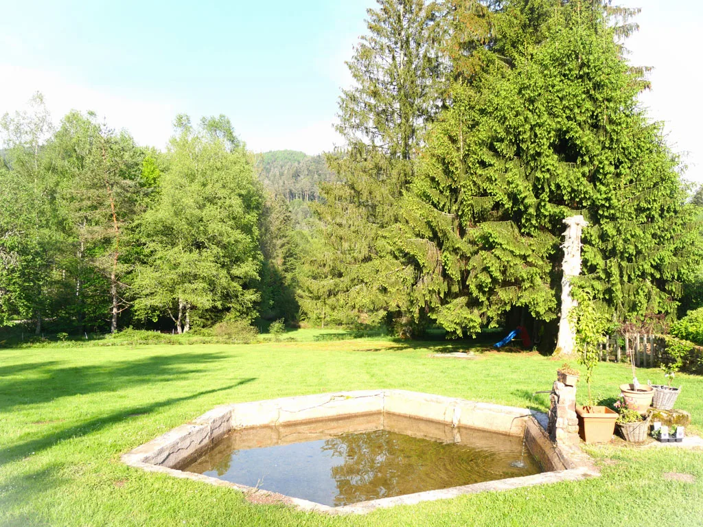 Gîtes de Marmonfosse photo 3