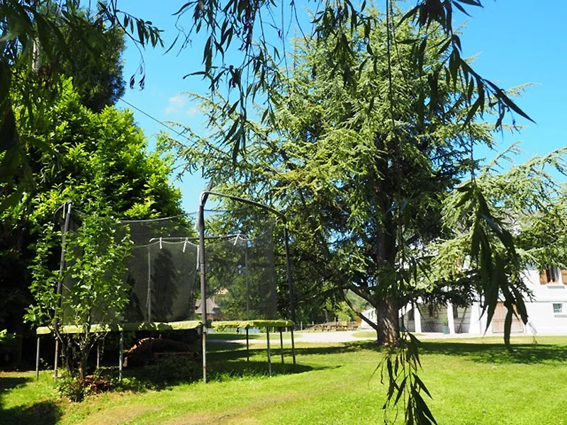 Le Chalet du Pêcheur photo 4