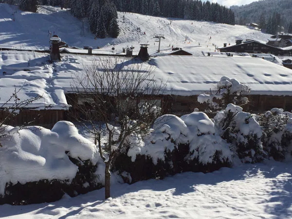 Chalet Beth Shemesh photo 4