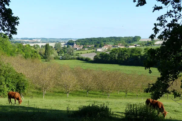 Gîte de Nougerède photo 4