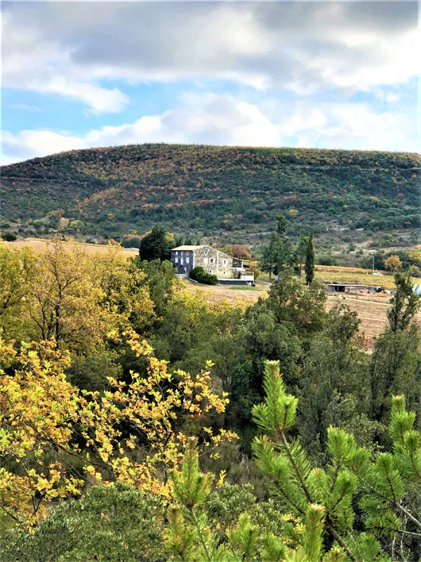 Gite de la Mûre photo 2
