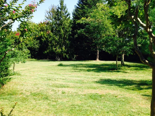Le Loun photo 4